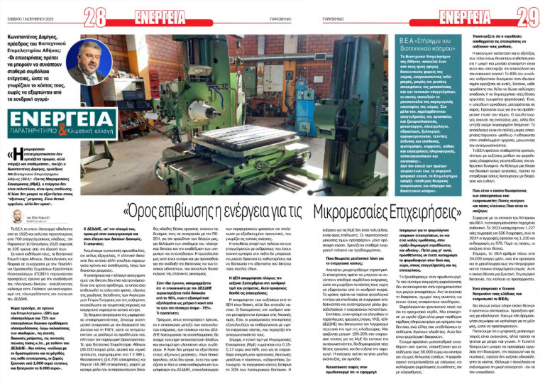 Δαμίγος Παρασκήνιο μικρομεσαιες επιχειρήσεις