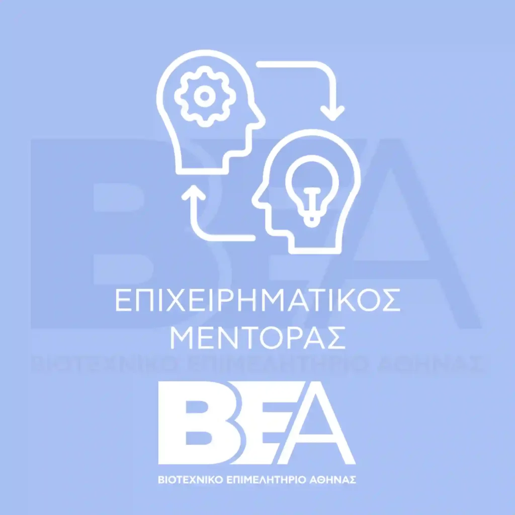 ΒΕΑ ΕΠΙΧΕΙΡΗΜΑΤΙΚΟΣ ΜΕΝΤΟΡΑΣ