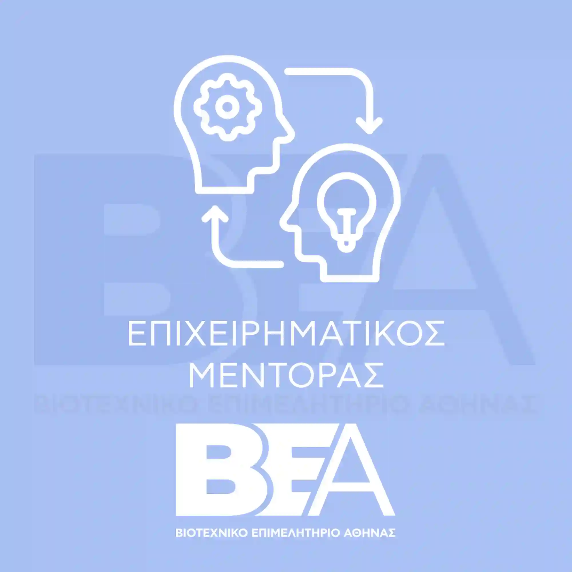 ΒΕΑ ΕΠΙΧΕΙΡΗΜΑΤΙΚΟΣ ΜΕΝΤΟΡΑΣ